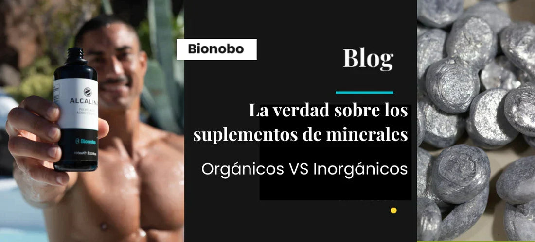 Suplementos de Minerales Orgánicos VS Minerales Inorgánicos ¿Cual es la diferencia?