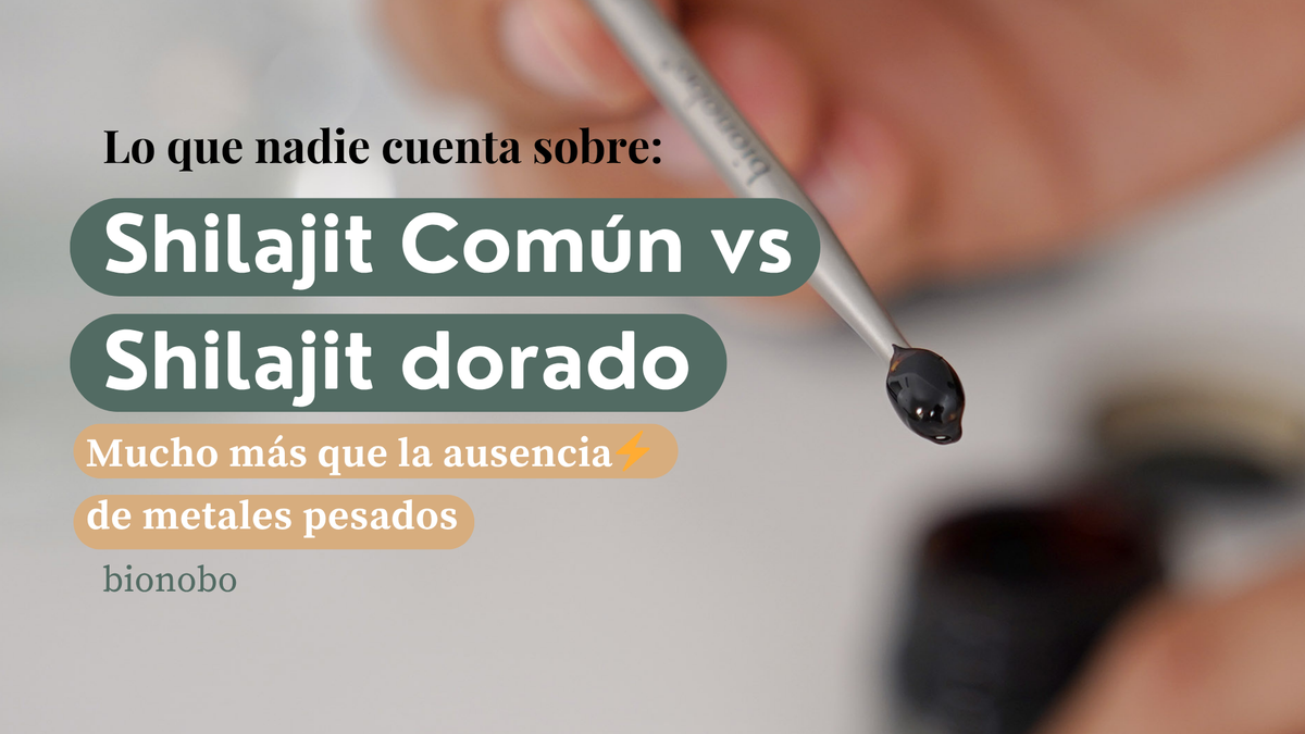 Diferencias entre un Shilajit Común vs Shilajit Dorado Premium