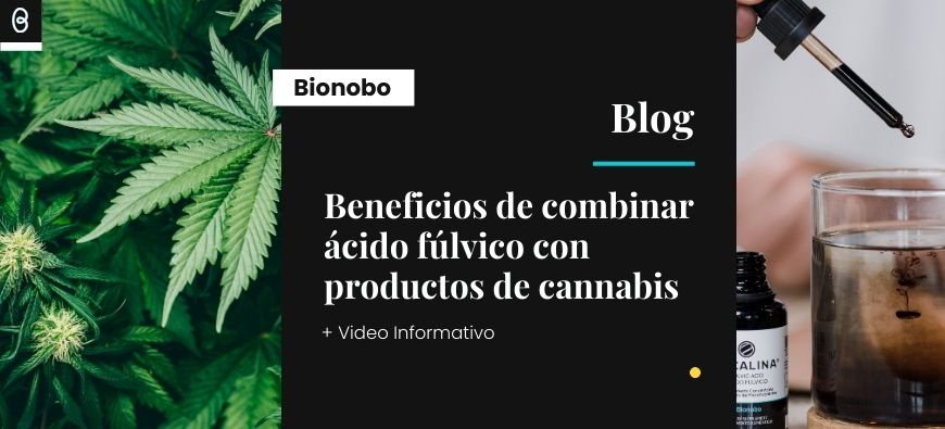 Cannabis y Acidos fúlvicos, sinergia ancestral del Himalaya
