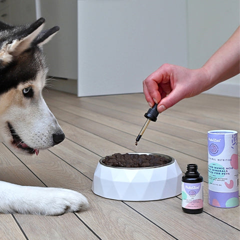 FulviZoo™ 30ml - Fulvic Acid for Pets