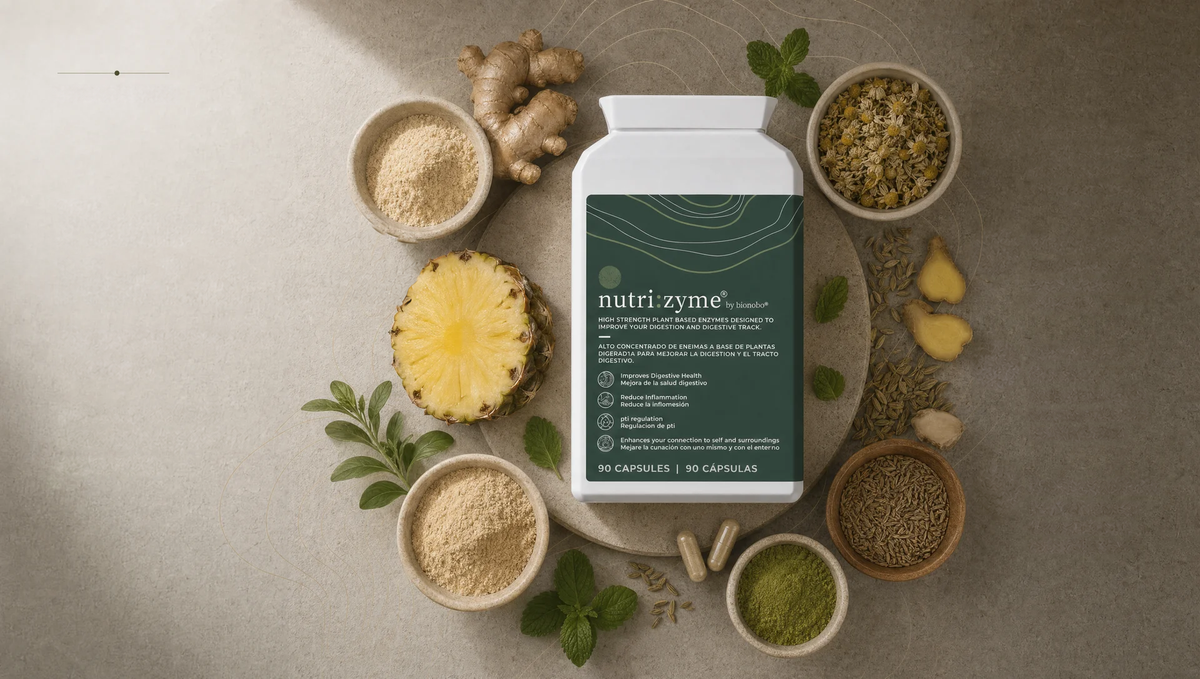 Tarrina de enzimas digestivas nutri:zyme rodeada de piña, jengibre, menta, hinojo y polvos botánicos.