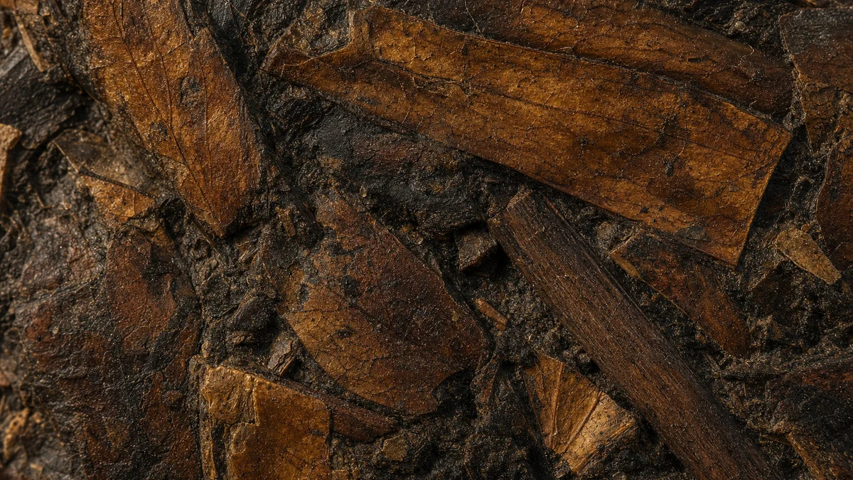 Materia vegetal antigua presionada contra un sedimento oscuro, las venas de las hojas aún son visibles