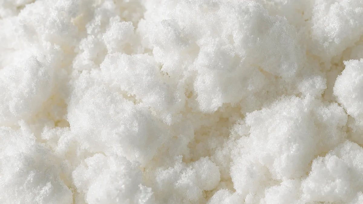 N-acetil L-carnitina, un polvo blanco brillante formando grumos suaves