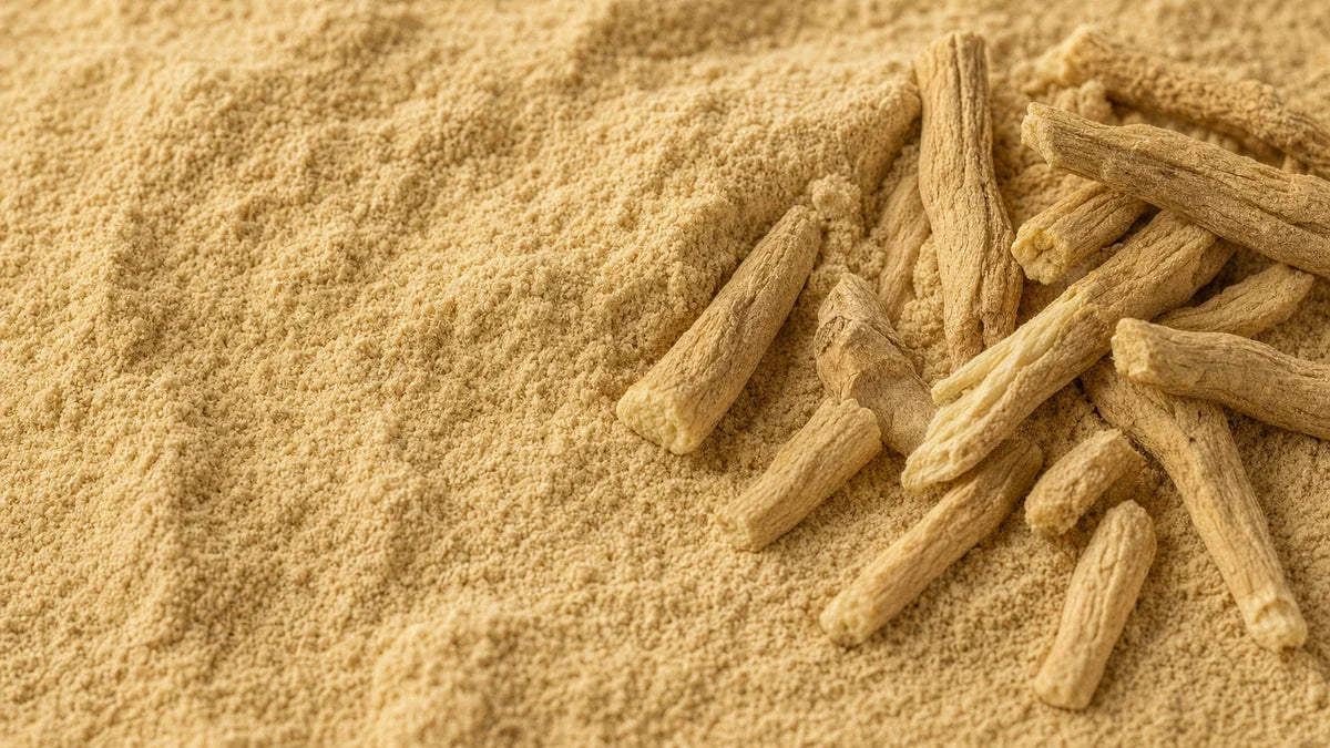 Una macro cercana de ashwagandha ksm-66