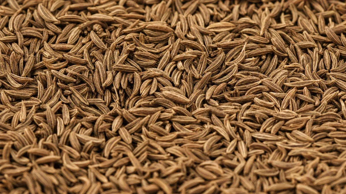 Una macro cercana de semillas de alcaravea (carum carvi)
