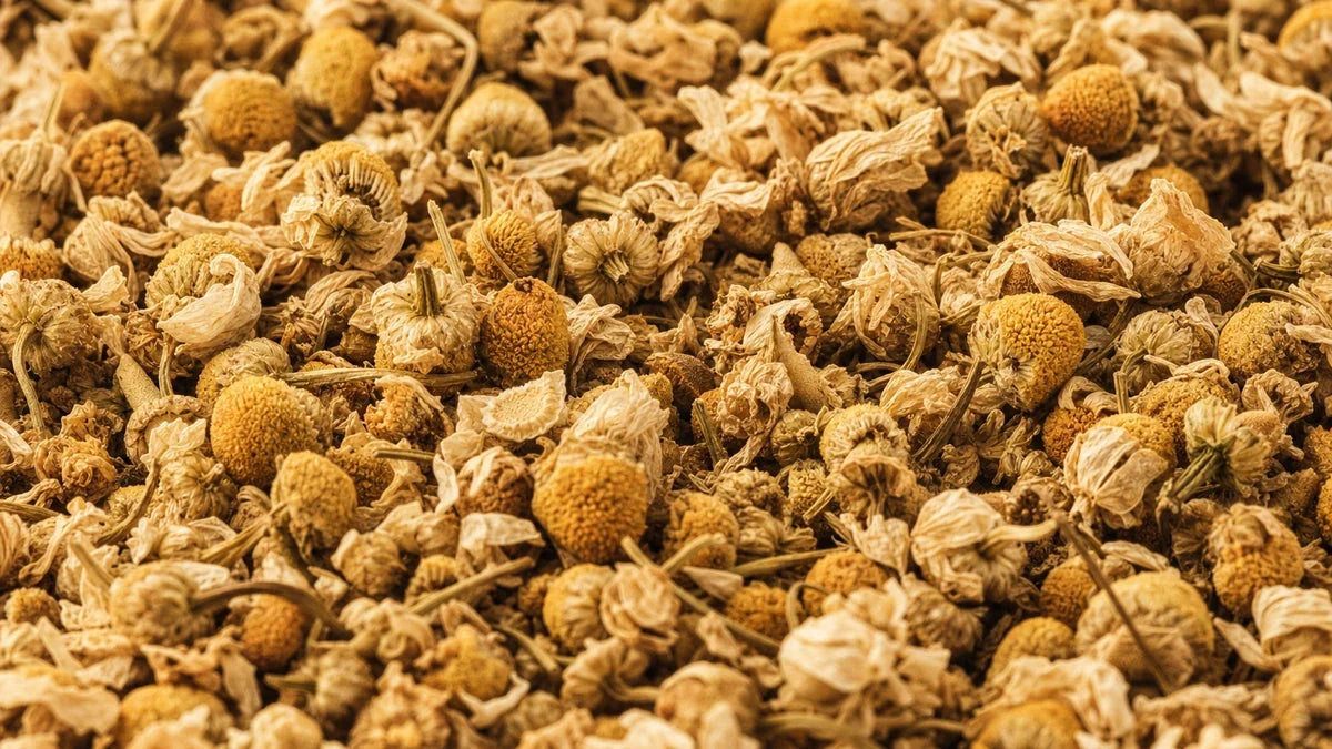 Una macro cercana de manzanilla alemana