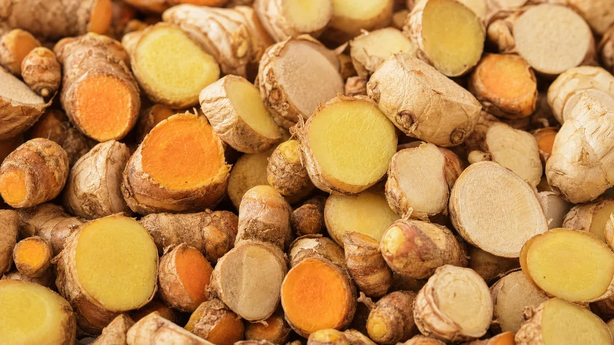 Primer plano macro de raíces de jengibre, cúrcuma y galanga