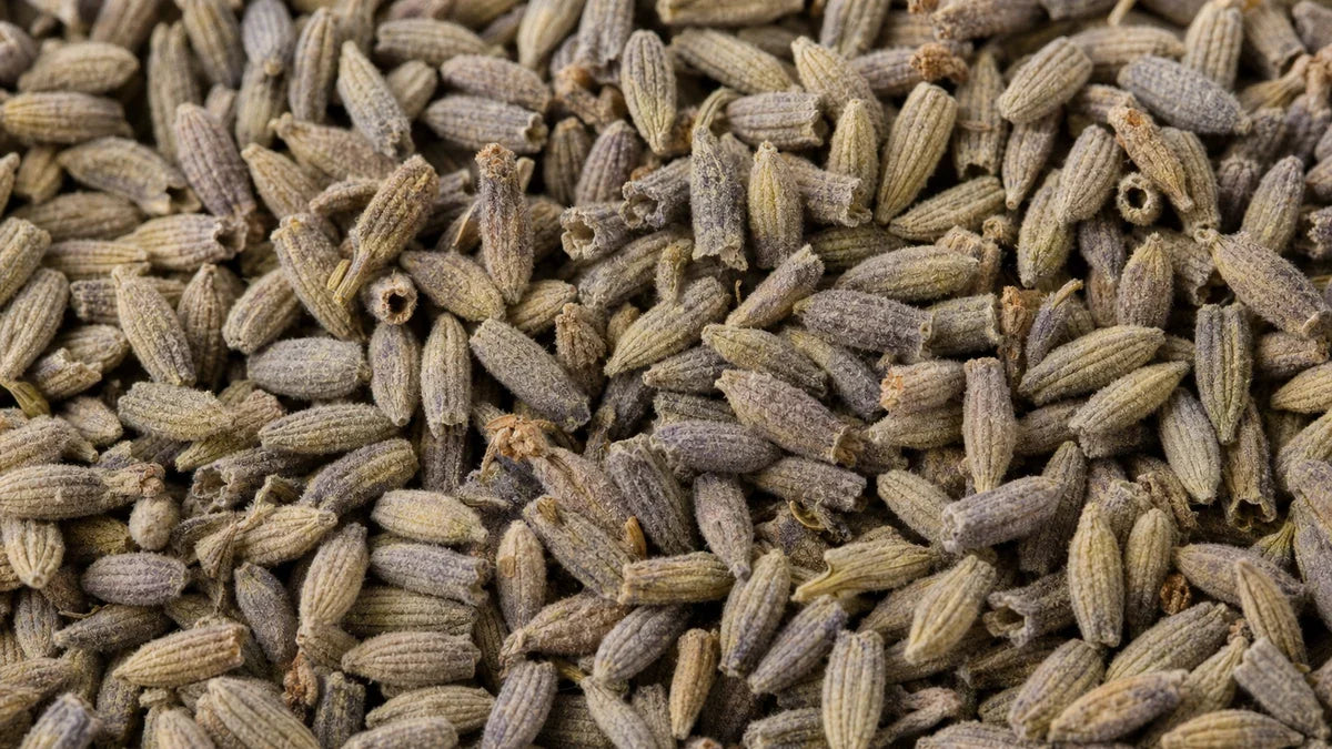 Una macro cercana de lavanda