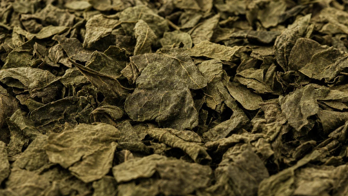 Una macro cercana de verduras de hojas verdes