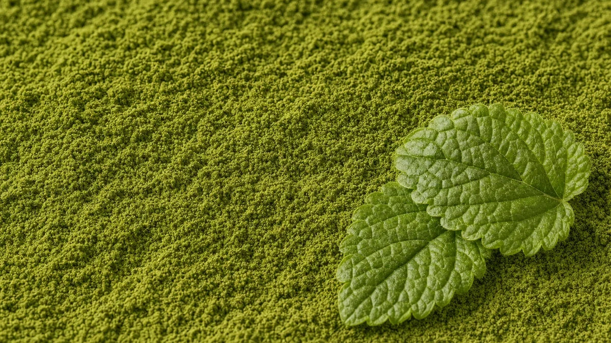 Una macro cercana de bálsamo de limón