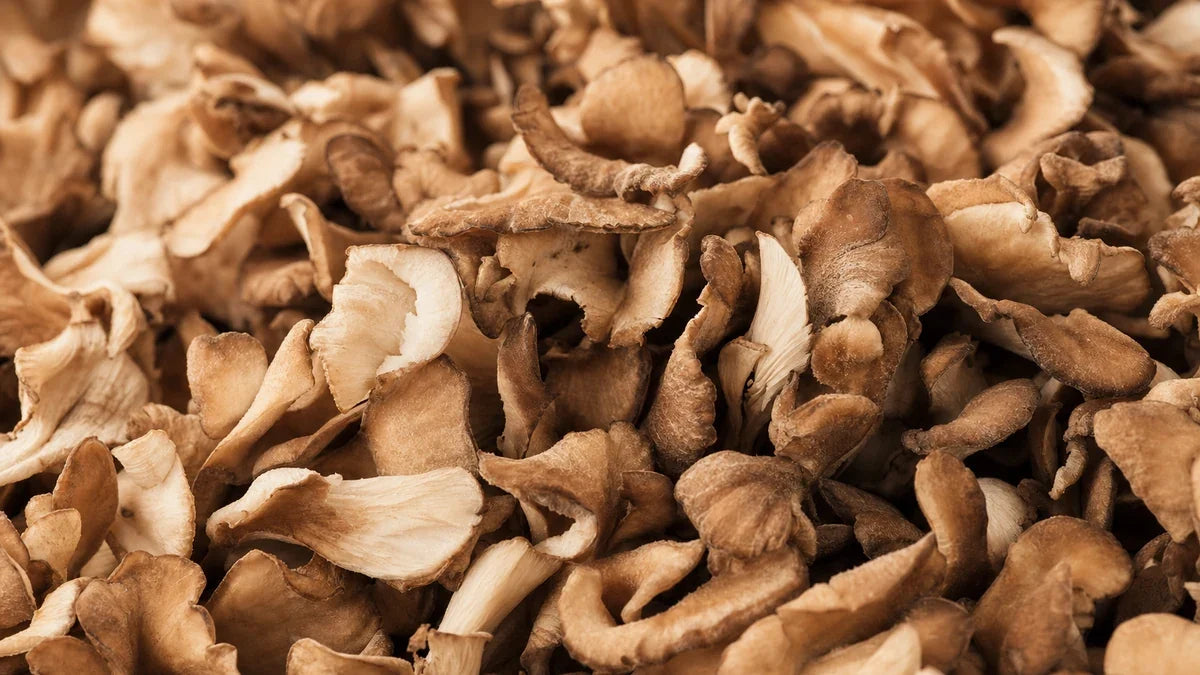Una macro cercana de maitake