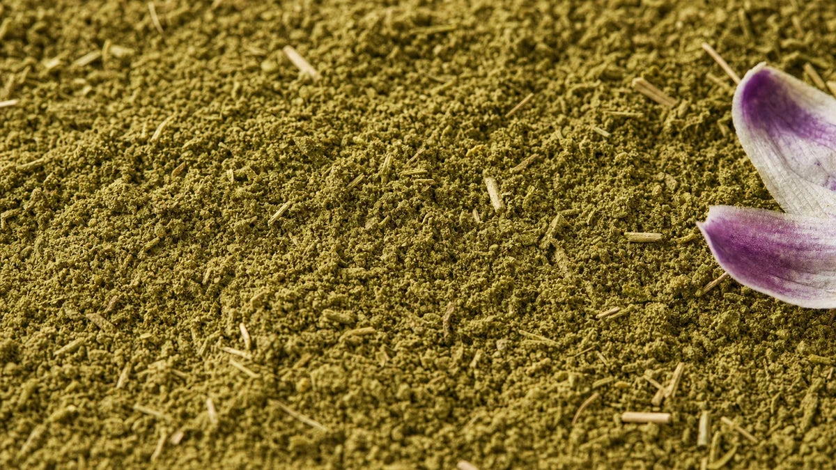 Una macro cercana de flor de la pasión
