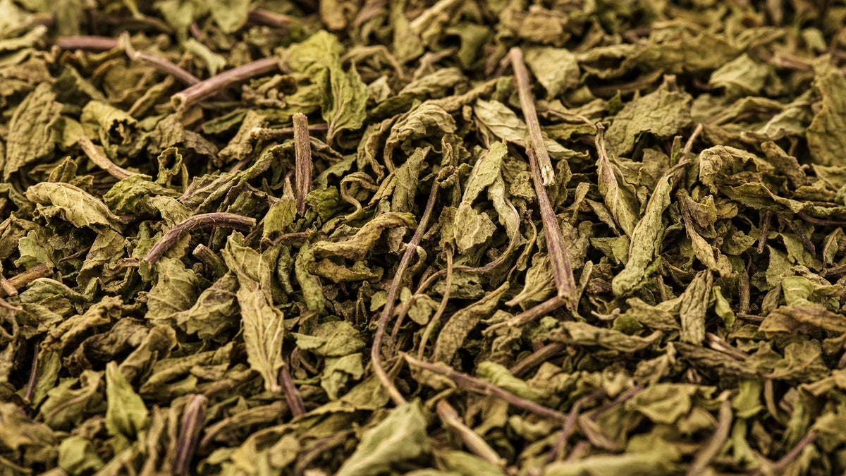 Una macro cercana de hoja de menta
