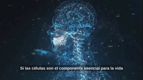 Alcalina — vídeo en español