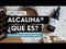Alcalina® | 0.62€/Día |  Suscripción Oportunidad Única